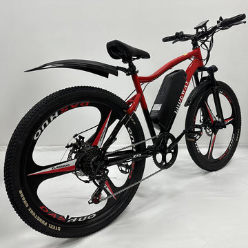 High power Electric Bike Manufacturer