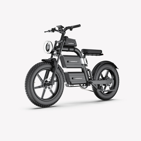 Electric Bike Bicycle e-bike Fat Tire Adult 20 inch USA Warehouse E20