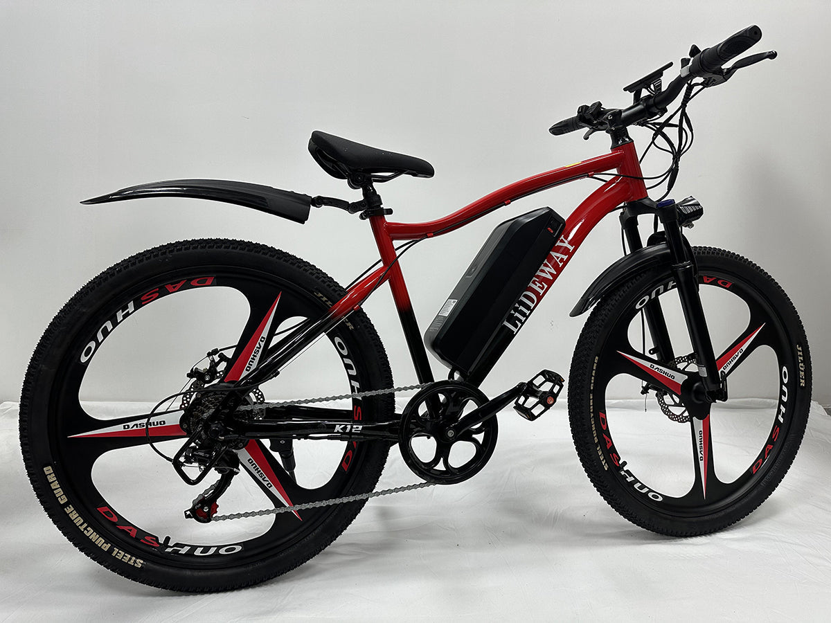High power Electric Bike New model