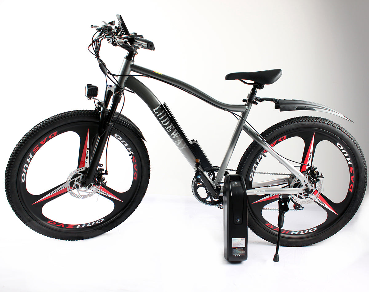 WholeSale Electric Bike