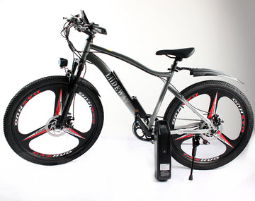 WholeSale Electric Bike