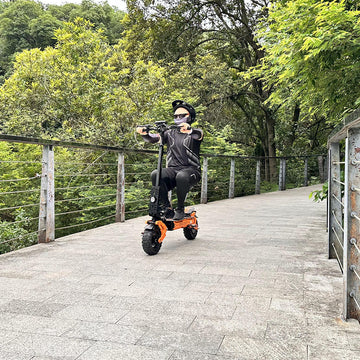 Electric Scooter Hot sale Top 18