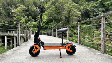 Electric Scooter Newest