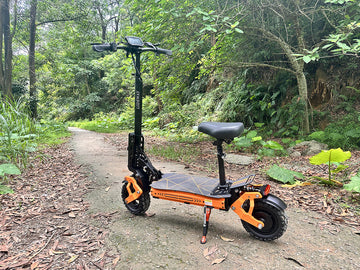Electric Scooter OEM ODM