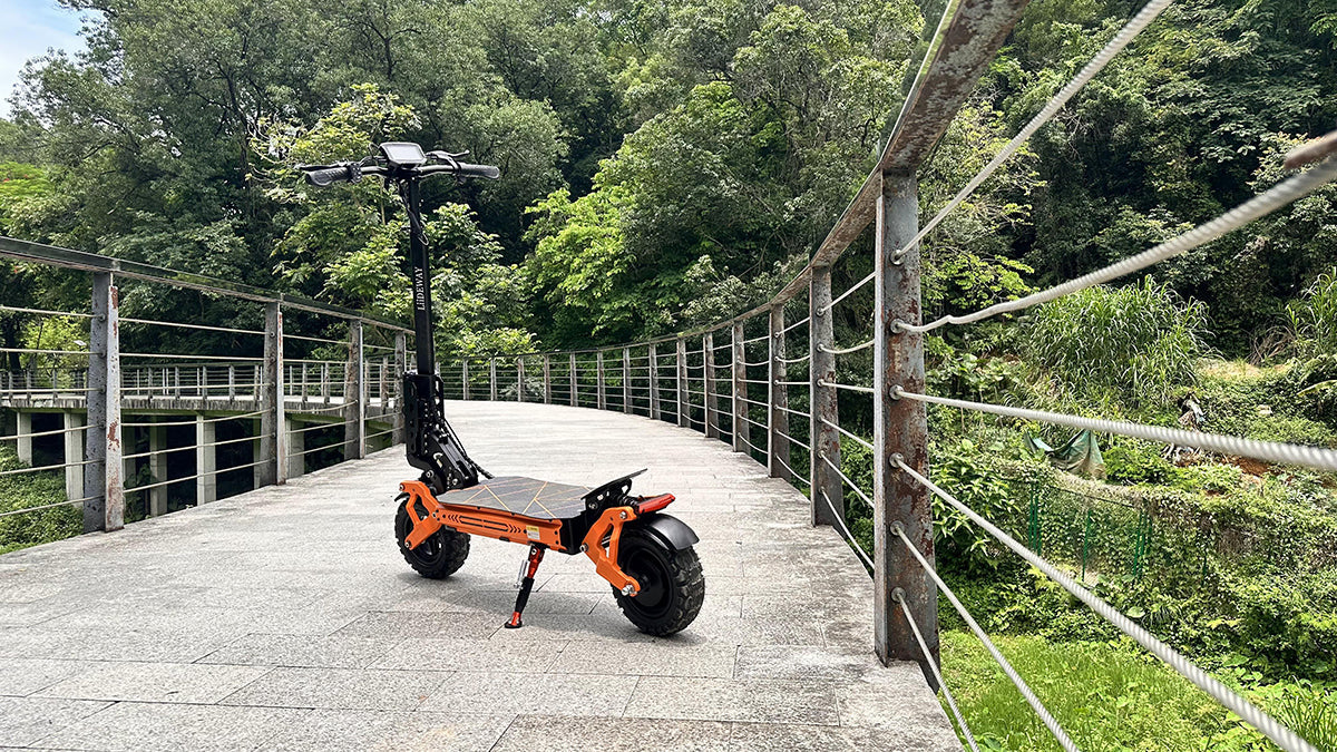 Electric Scooter Easy rider
