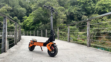 Electric Scooter Newest