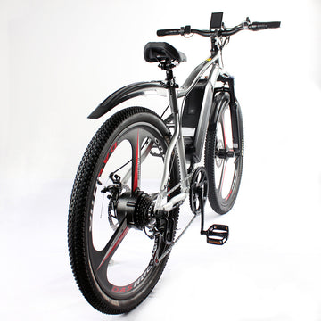 Lithium Battery Electric Bike Best