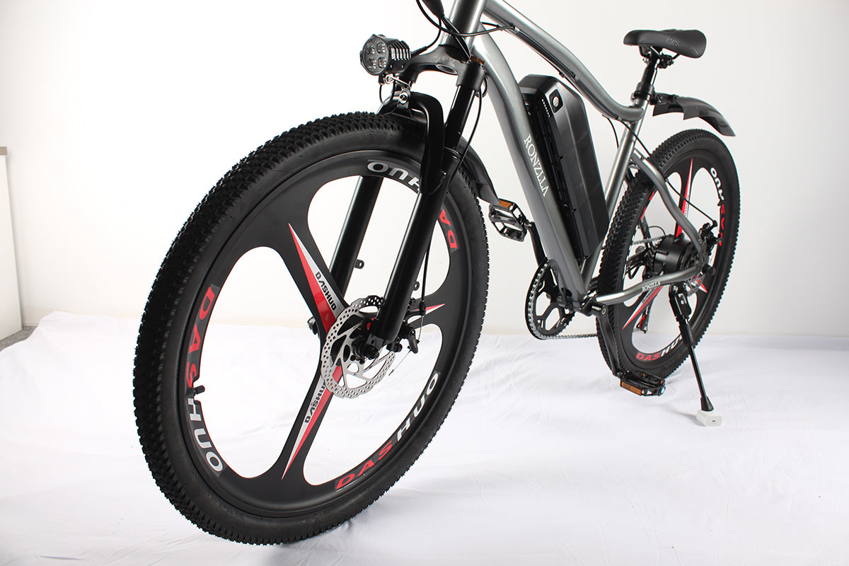 High power Electric Bike Brands