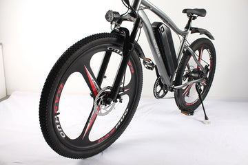 High power Electric Bike Brands