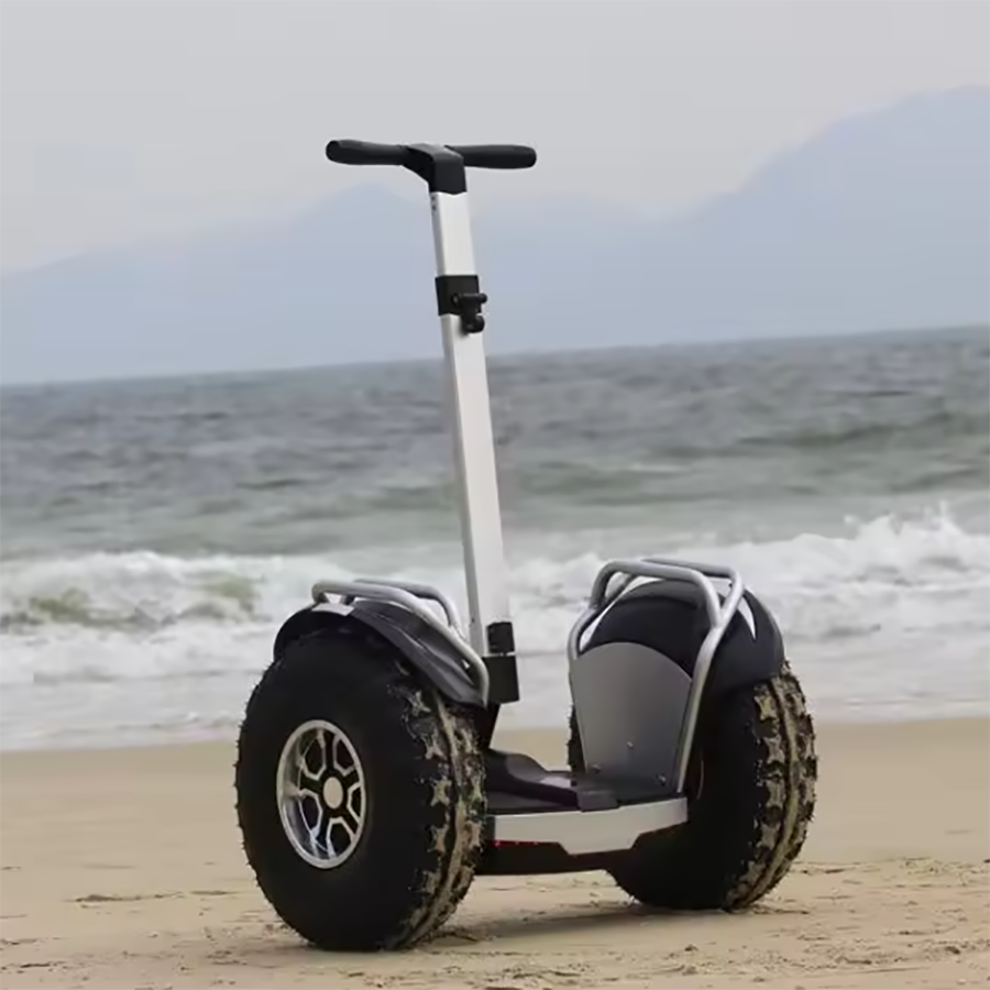 Self Balancing Electric Scooter 2 Wheel Off Road Price Liideway W5
