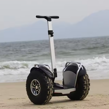 Self Balancing Electric Scooter 2 Wheel Off Road Price Liideway W5