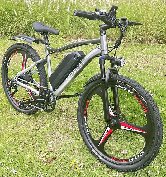 Big Tire Electric mountain Bike bikes price for adults sale K12