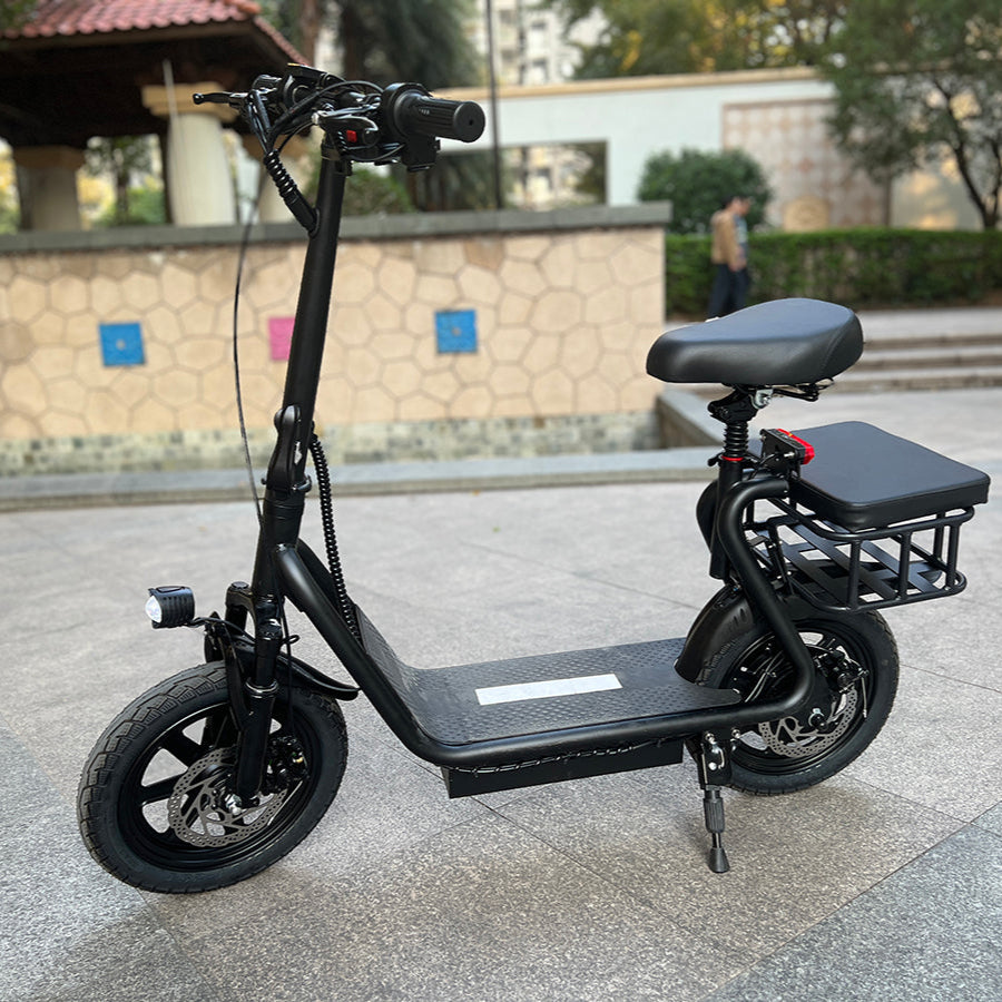 Electric Folding Bike