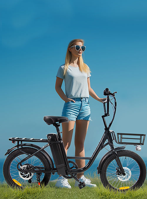 Electric Ebike for Adult 750W Motor E-Bike bike USA Stock Free Shipping