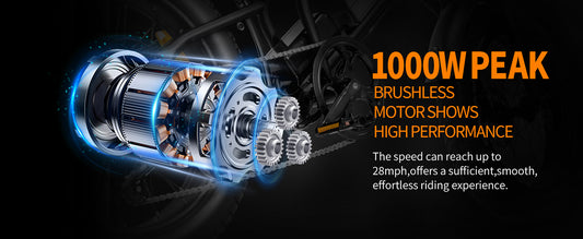 Adults Electric Bike 20"x 4" fat tires 1000w Powerful Motor