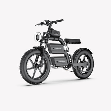 Electric Bike Bicycle e-bike Fat Tire Adult 20 inch USA Warehouse E20
