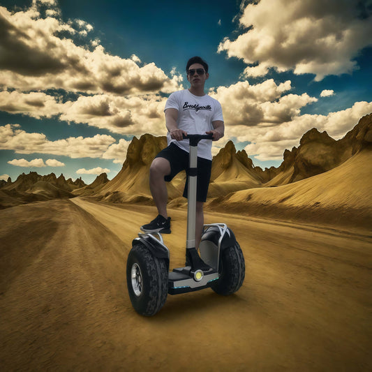 Top Self Balancing Electric Scooter Segway Hoverboard Liideway W5